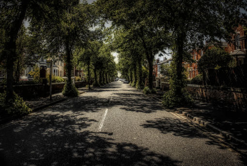 Tree lined Albert Road in Southport